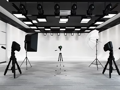 Professional Photography Studio Setup With Lights Tripods Reflectors And White Backdrop 3d model