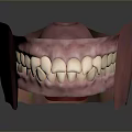Detailed 3D Rendered Oral Structure Model With Teeth Gums And Tongue