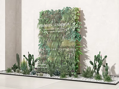 Indoor Plant Combination With Green Wall Cacti Succulents And White Pebbles 3d model