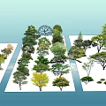 Various Arbor Varieties With Different Colored Foliage Arranged On White Platforms 3d model