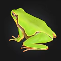 Vibrant Green Frog With Distinct Color Patterns Sitting On Black Background