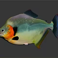 Colorful Metallic Fish With Orange And Black Accents In 3D Render