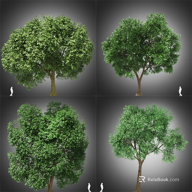 Various Arbor Tree Varieties Featuring Lush Green Foliage And Diverse Canopy Shapes 3d model 