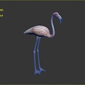 Flamingo CG Flamingo Cartoon Flamingo Animation Flamingo CG Bird Cartoon Bird Animation Birds 3d model