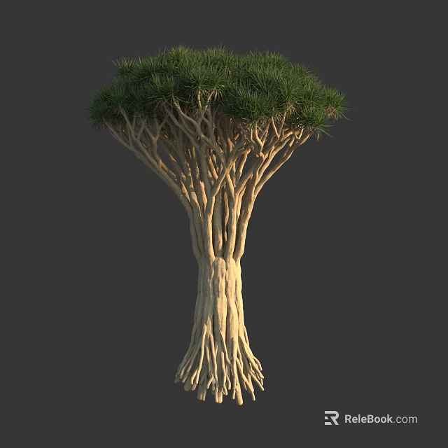 Distinctive Tall Arbor with Thick Intertwined Trunks and Lush Green Foliage 3d model 