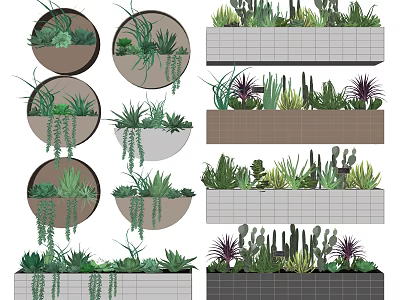 Bonsai and Potted Plants in Hanging Round Containers Rectangular Planters with Succulents Cacti Trailing Greenery 3d model