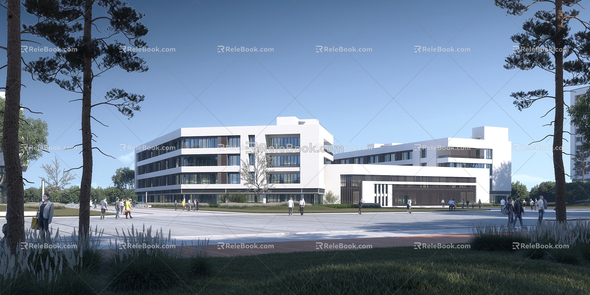 Teaching Building of Modern School Office Building 3d model