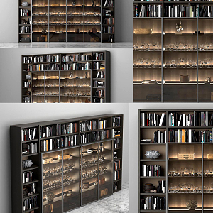 Modern bookcase 3d model