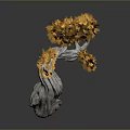 Unique Curved Tree With White Textured Trunk And Orange Yellow Leaves