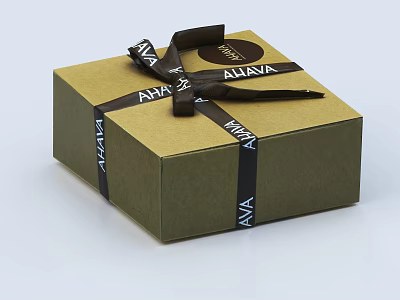 Brown Gift Box With Black Ribbon Featuring AHAL And ALINIA Labels 3d model
