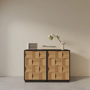Modern Entrance Cabinet 3d model