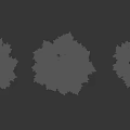 Arbor trees in landscape with three specimens having lush green leaves and varied forms