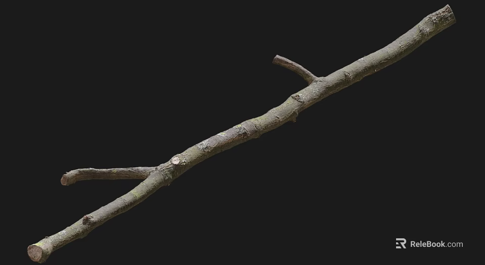 Natural Wooden Branch With Textured Surface On Black Background 3d model 