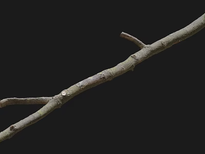 Natural Wooden Branch With Textured Surface On Black Background 3d model