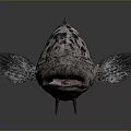 Spotted Fish With Black And White Spots Realistic Appearance On Dark Background