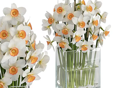 Fresh White Flowers With Orange Centers In Transparent Square Glass Vase 3d model