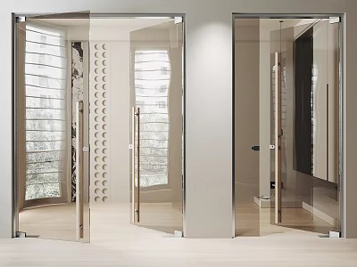 Modern Clear Glass Double Doors With Sleek Metal Frame In Bright Contemporary Interior 3d model