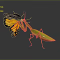 Green Mantis Preying On Orange Black Butterfly With Reflection On Dark Surface 3d model