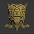 Yellow Brown Tortoise With Detailed Shell Pattern And Scaly Limbs On Dark Background 3d model