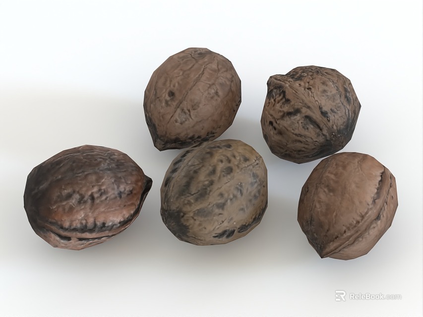 Five Whole Natural Walnuts Arranged On Clean White Background 3d model 
