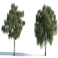 The Modern Tree 3d model