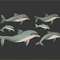 Five Turquoise And White Dolphins Against Gray Background With Reflections