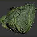 Fresh Green Cabbage with Vibrant Leaves Isolated on Dark Background Surface 3d model