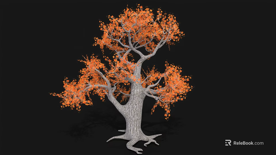 Ornamental Shrub With Orange Leaves Grayish White Trunk And Exposed Roots On Black Background 3d model 