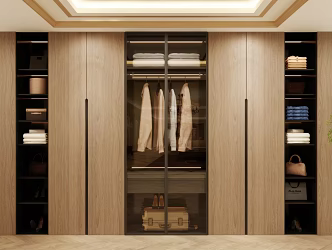 Wardrobe Design Wardrobe Effect Diagram Wardrobe Coat Cabinet Design Coat Cabinet 3d model