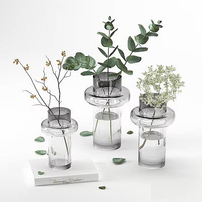 Minimalist Transparent Glass Vases With Various Green Leaves And Small White Flowers On White Background 3d model