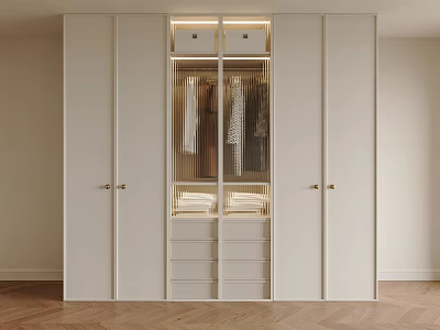 Modern White Wardrobe Interior With Glass Doors Built-in Lighting and Drawers 3d model
