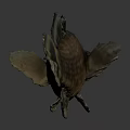 Realistic Brown Fish With Detailed Fins Displayed On Gray Background
