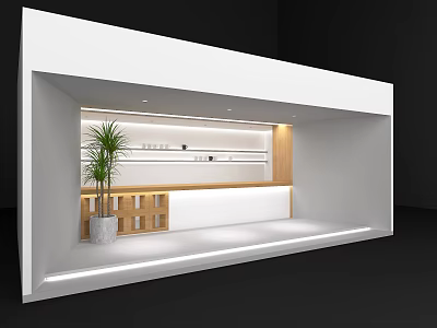 Minimalist White Display Booth With Wooden Shelves Green Plant And Modern Lighting 3d model