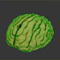 Golden Human Brain With Hair Like Textured Surface And Shiny 3D Rendering