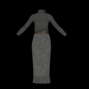 Women's Long Sleeve Top with Long Dress Casual suit 3d model