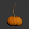 Fresh Ripe Orange Pumpkin With Long Stem As Healthy Food Ingredient