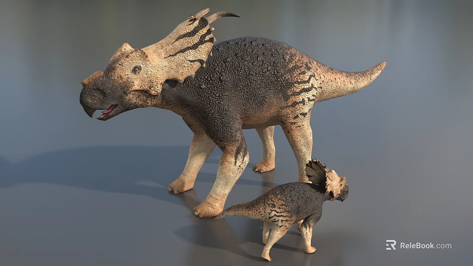 Realistic Triceratops Reptile Models Adult And Juvenile With Textured Skin 3d model 