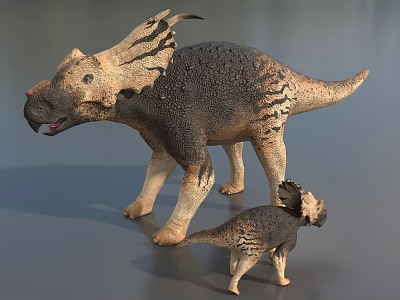 Realistic Triceratops Reptile Models Adult And Juvenile With Textured Skin 3d model
