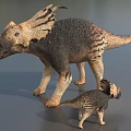 Realistic Triceratops Reptile Models Adult And Juvenile With Textured Skin