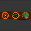 Colorful Cactus Plants with Red Purple Flowers in Orange Pots on Wooden Shelf