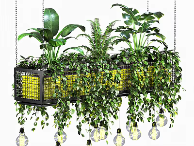 Lush Green Hanging Basket Plants With Cascading Vines And Decorative Bulbs 3d model