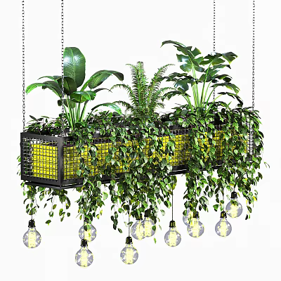 Lush Green Hanging Basket Plants With Cascading Vines And Decorative Bulbs 3d model