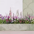 Bonsai Planter With Various Colorful Flowers Purple Pink White Light Wall And Circular Pattern Tiles