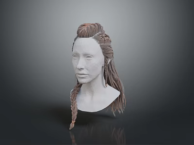 Woman With Intricate Braided Hair 3D Model Head Hairstyle Design 3d model