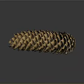 Pine Cone Containing Edible Pine Nuts Natural Healthy Organic Food Source
