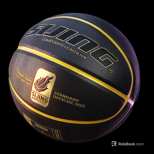 Well Equipped Indoor Basketball Court with Official Size Competitive Leather Basketball 3d model 