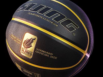 Well Equipped Indoor Basketball Court with Official Size Competitive Leather Basketball 3d model