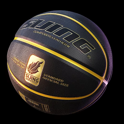 Well Equipped Indoor Basketball Court with Official Size Competitive Leather Basketball 3d model