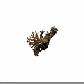 Natural Coral Reef Decor With Rocky Base And Mossy Surface Branches