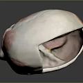 Medical Device Anatomical Model of Human Head for Muscle and Nerve Structure Visualization